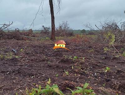 Fazenda para Venda, em Pedro Afonso, bairro rea rural com expanso consolidada
