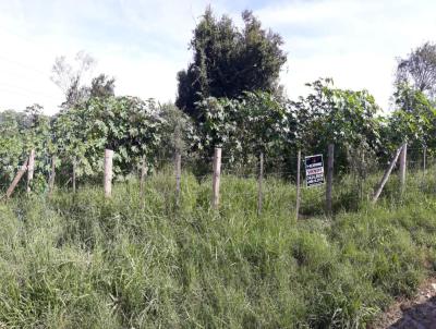 Terreno para Venda, em Gravata, bairro Parque Olinda