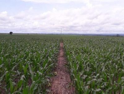 Fazenda para Venda, em Buriti Bravo, bairro Buriti Bravo