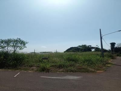 Terreno para Venda, em Tangar da Serra, bairro PQ DA MATA