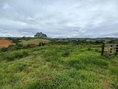 Terreno Rural para Venda, em Santo Antnio do Amparo, bairro ZONA RURAL