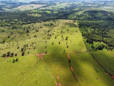 Fazenda para Venda, em Dom Aquino, bairro Dom Aquino, 4 dormitrios, 4 banheiros