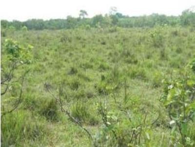 Fazenda para Venda, em Lagoa do Tocantins, bairro Lagoa do Tocantins