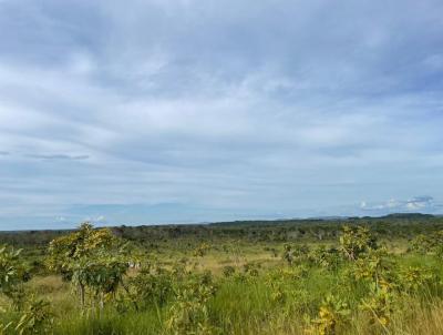 Fazenda para Venda, em Santa Maria do Tocantins, bairro Santa Maria do Tocantins