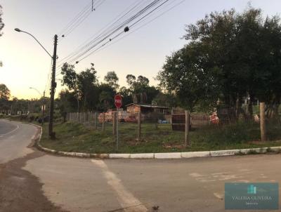 Terreno para Venda, em Viamo, bairro Martinica