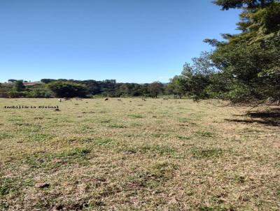 Stio para Venda, em Jacutinga, bairro RURAL