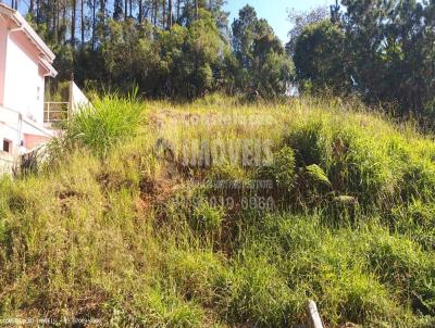 Terreno para Venda, em Bragana Paulista, bairro Residencial Vale das Emas