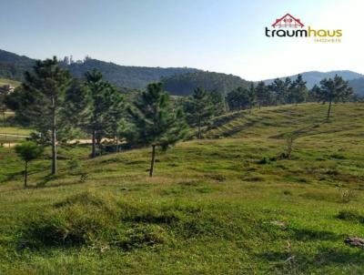 Terreno para Venda, em Indaial, bairro Encano Central