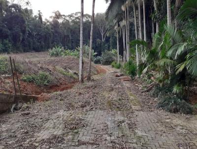 Terreno para Venda, em Guaramirim, bairro Imigrantes