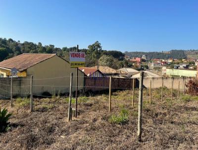 Lote para Venda, em Florestal, bairro Dona Suzana