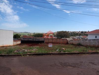 Terreno para Venda, em Apucarana, bairro Jd. Catua