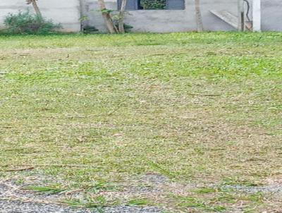 Stio / Chcara para Venda, em Gravata, bairro cadiz, 2 dormitrios, 1 banheiro