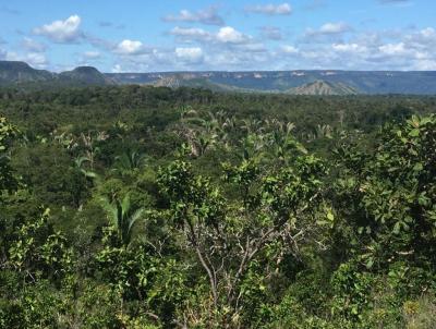 Fazenda para Venda, em Miracema do Tocantins, bairro 