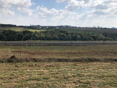 Terreno para Venda, em Jaguarina, bairro Tanquinho Velho