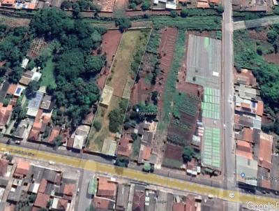 rea para Venda, em Jata, bairro Setor Central