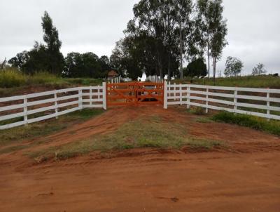 Fazenda para Venda, em Teodoro Sampaio, bairro Are Rural