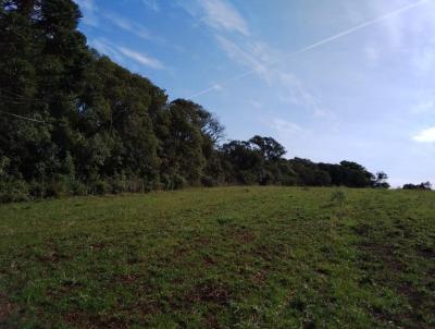 rea para Venda, em Palmas, bairro 