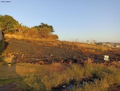 Terreno para Venda, em , bairro So Vicente