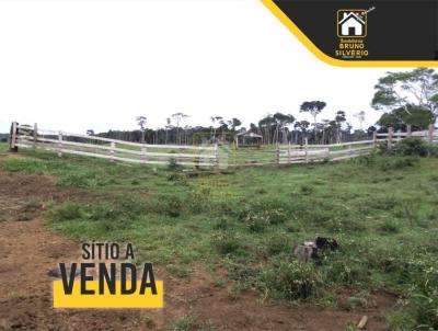 Stio para Venda, em Machadinho d`Oeste, bairro Zona Rural