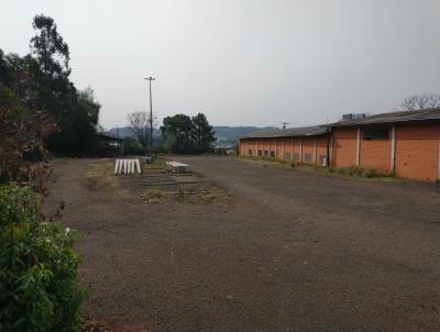 Terreno para Venda, em Francisco Beltro, bairro PINHEIRINHO