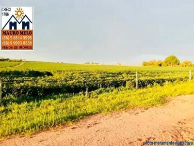 Fazenda para Venda, em Parnarama, bairro .