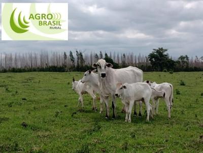 Fazenda para Venda, em Bofete, bairro Zona Rural