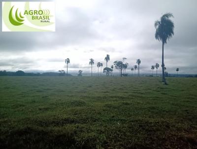 Fazenda para Venda, em , bairro Zona Rural