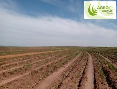 Fazenda para Venda, em , bairro REGIO DE BARRA BONITA