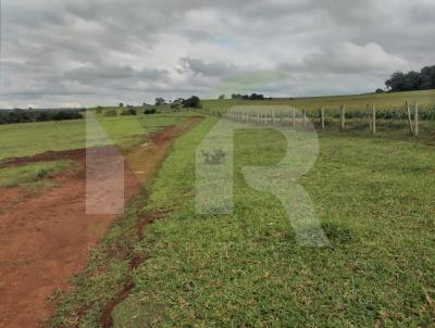 Fazenda para Venda, em Buriti Alegre, bairro Zona Rural