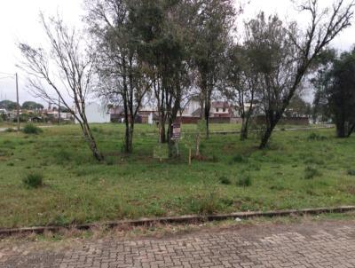 Terreno para Venda, em Venncio Aires, bairro Brgida