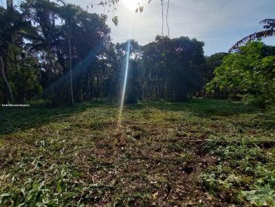 rea para Venda, em So Sebastio, bairro Boraceia