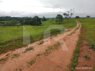 Fazenda para Venda, em Ipameri, bairro Zona Rural