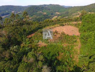 Stio / Chcara para Venda, em Morro Reuter, bairro Linha Cristo Rei