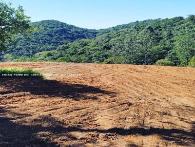 Terreno para Venda, em Ibina, bairro Centro