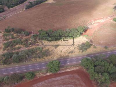 Terreno Comercial para Venda, em Laranjeiras do Sul, bairro .