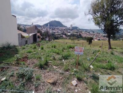 Terreno para Venda, em Santo Antnio da Platina, bairro Vila Sta Terezinha