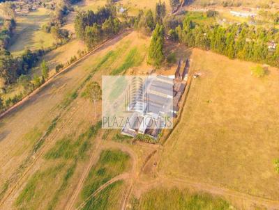 Fazenda para Venda, em Jacutinga, bairro RURAL