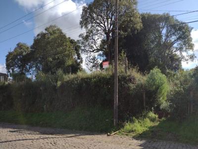 Terreno para Venda, em Vacaria, bairro Glria