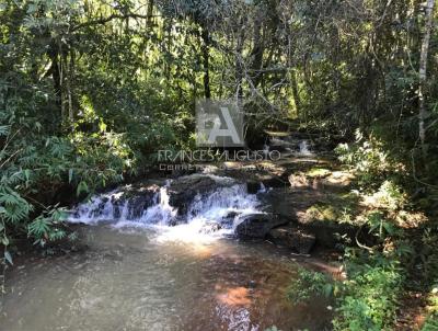 Stio / Chcara para Venda, em Morro Reuter, bairro Planalto