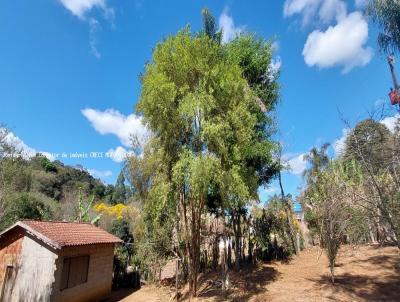 Chcara para Venda, em Muzambinho, bairro 12 km da cidade, 2 dormitrios