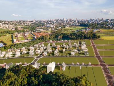 Terreno para Venda, em Cascavel, bairro Recanto Tropical