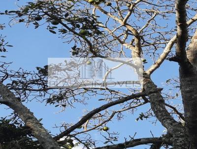 Chcara para Venda, em Pouso Alegre, bairro SERRA DO CERVO