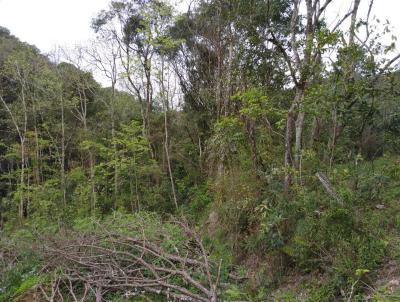 rea para Venda, em Camargo, bairro Paraso