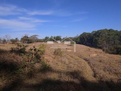 Stio para Venda, em Passa Tempo, bairro Zona Rural