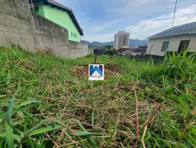 Terreno para Venda, em Mogi das Cruzes, bairro VILA LAVINIA