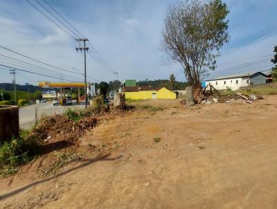 Terreno para Venda, em Jarinu, bairro Nova Trieste