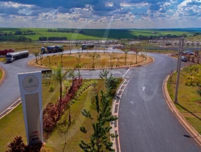 Terreno para Venda, em Ribeiro Preto, bairro Terreno para Venda Reserva Macauba