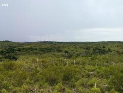 Fazenda para Venda, em Santana do Livramento, bairro Aipo