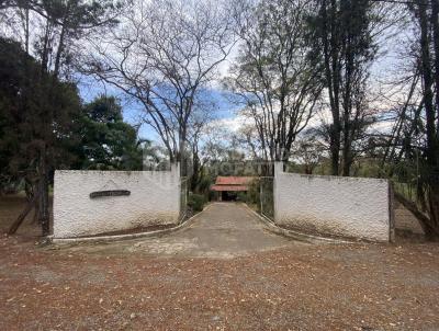 Chcara para Venda, em Limeira, bairro Bairro dos Pires, 3 dormitrios, 2 banheiros