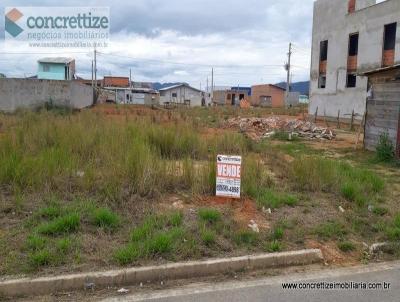 Terreno para Venda, em Ilhota, bairro Barra de Luiz Alves